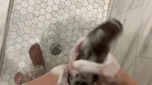 Masturbates Sxeyvideos Solo To A Strong Orgasm